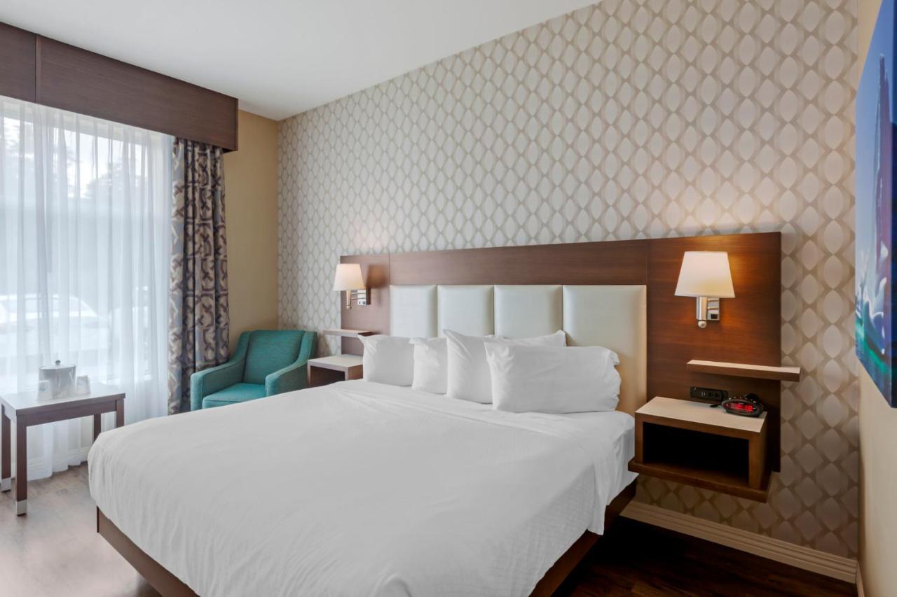 Best Western Plus St. John'S Airport Hotel And Suites Eksteriør billede